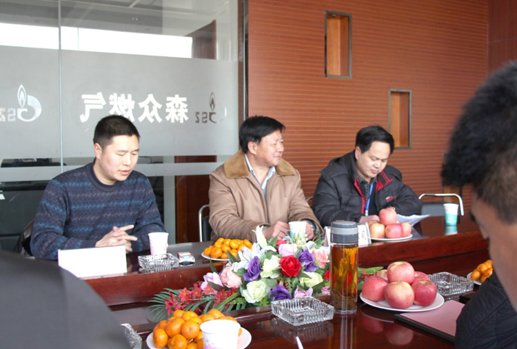 林口县政府与济南逸轩文艺复兴展览有限公司燃气项目洽谈.png